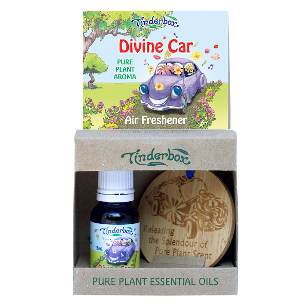 Picture of Divine Car Kit with Bamboo Disc