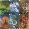 Picture of ANIMAL WHISPERS EMPOWERMENT CARDS